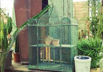 Decorazioni per il giardino a Bologna e Modena