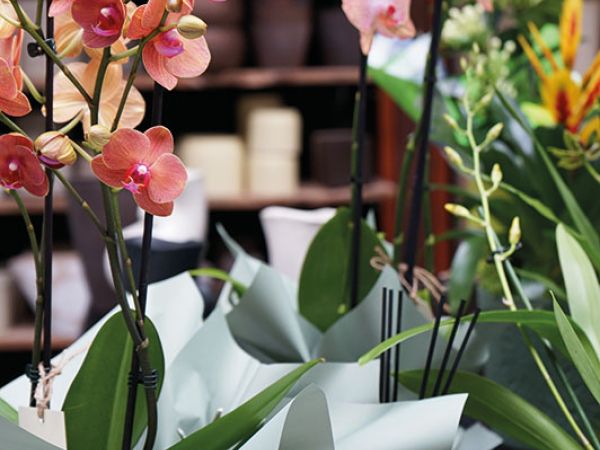 Installazione pergola a Bologna