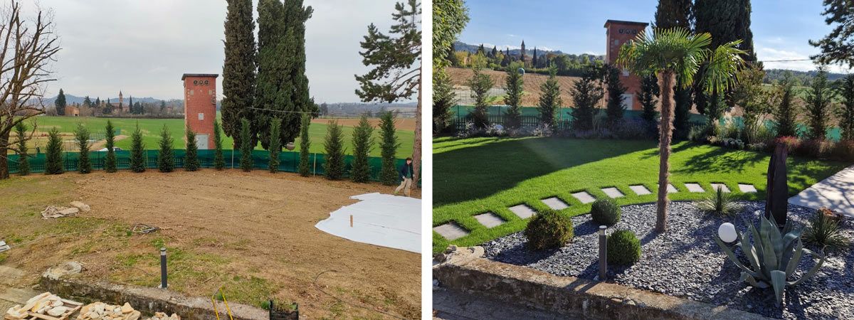 Realizzazione area living con ulivo secolare
