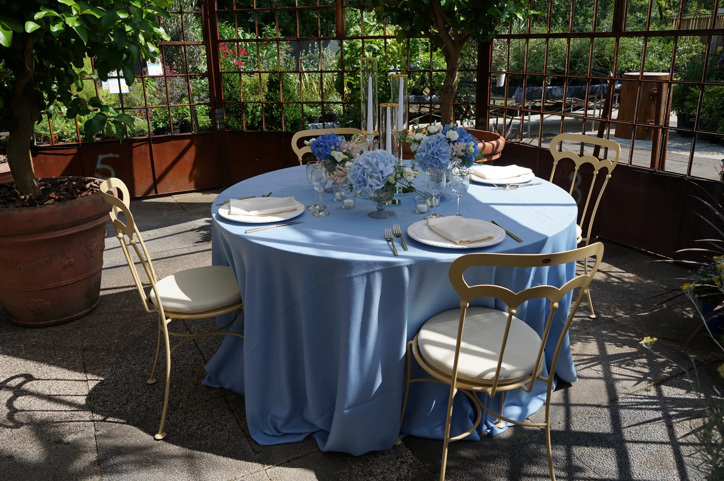 Tavola rotonda con tovaglia azzurra, ortensie e sedie dorate, fra due alberelli in grandi vasi di terracotta e le pareti a grata in ferro arrugginito