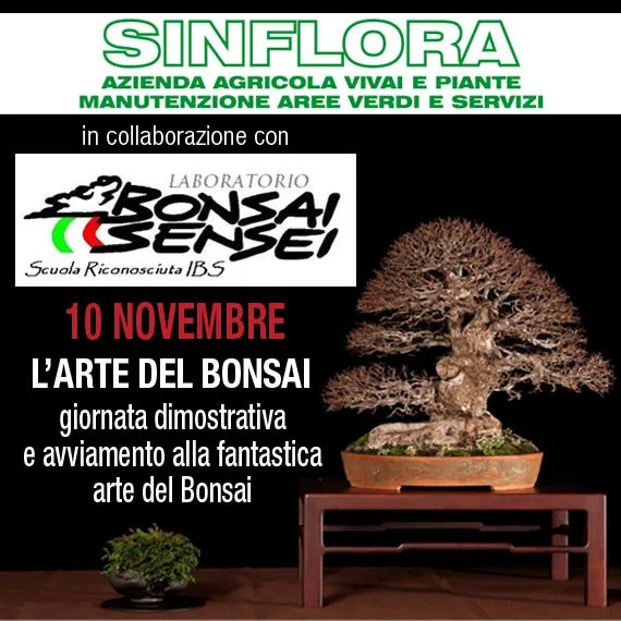 Locandina di Sinflora con il Laboratorio Bonsai Sensei: 10 novembre, l'arte del bonsai, giornata dimostrativa e avviamento, con un grande bonsai su un tavolino di legno