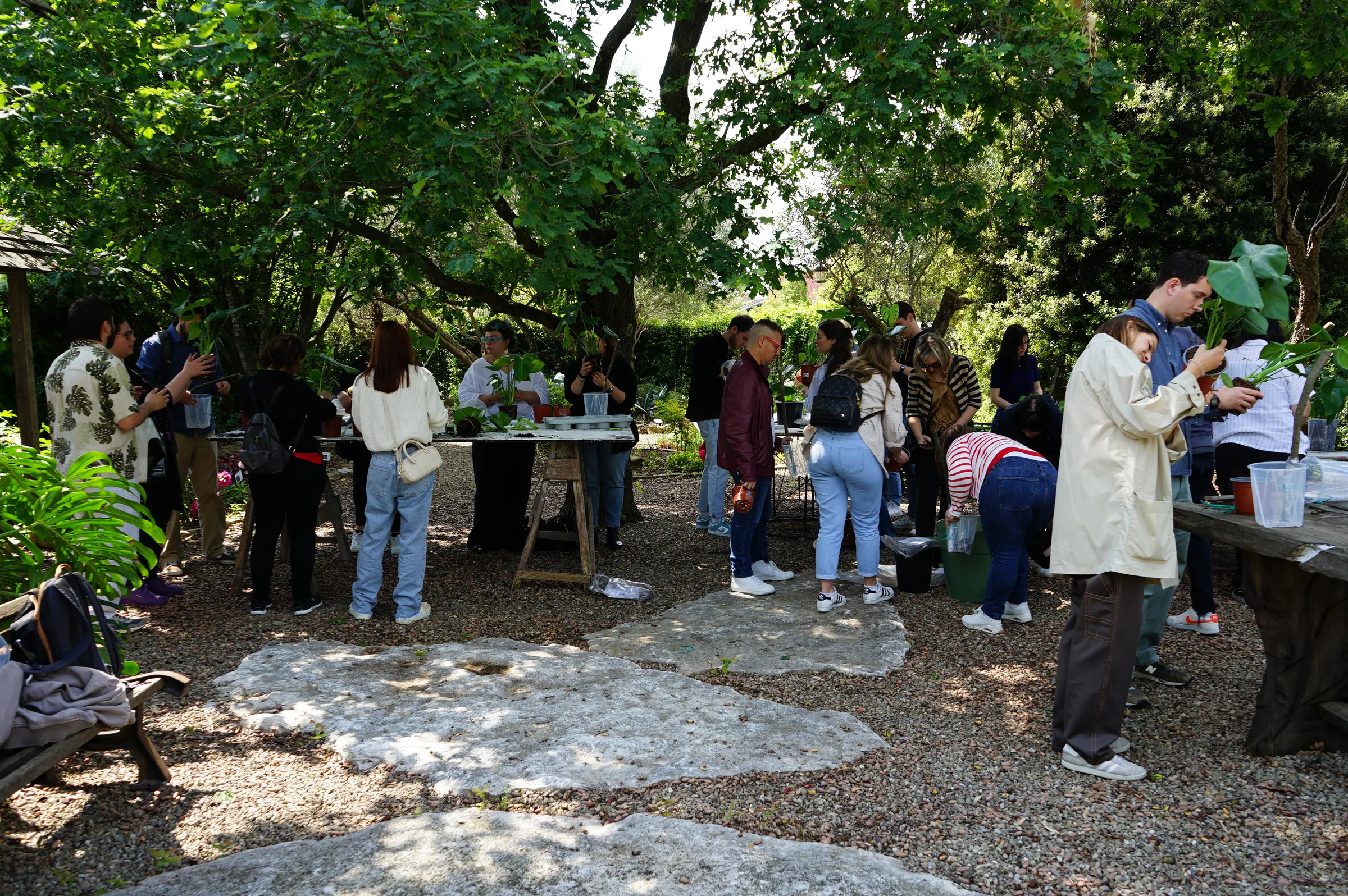 Il giardino durante il corso, con i partecipanti ai tavoli sotto gli alberi