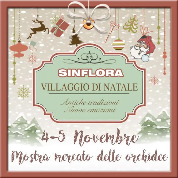Locandina del Villaggio di Natale di Sinflora con decorazioni natalizie appese e abeti innevati: 4 e 5 novembre, mostra mercato delle orchidee