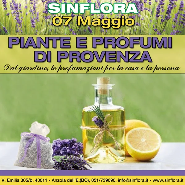 Locandina Piante e profumi di Provenza del 7 maggio: fiori di lavanda, una bottiglia d'olio con un rametto, un sacchetto profumato e un limone tagliato