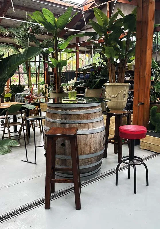 Una botte usata come tavolo, con il piano di vetro e tre sgabelli, davanti alle strelitzie in vaso