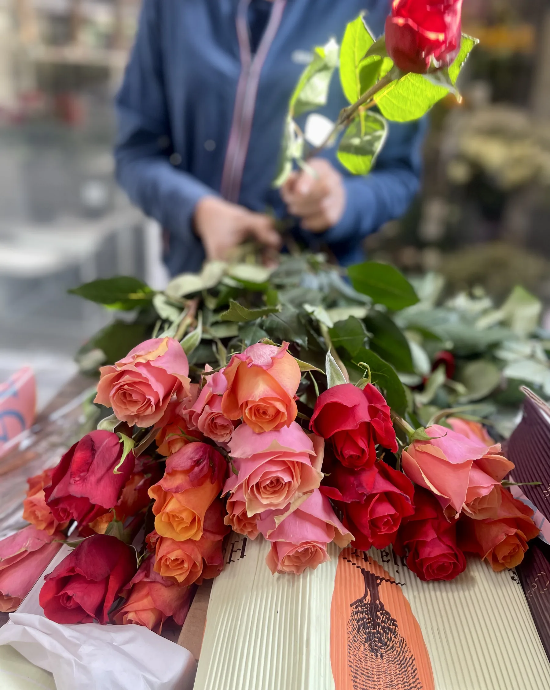 Rose rosse, rosa e arancioni distese sulla carta da incarto, sul piano del banco, mentre due mani ne tengono una per il gambo
