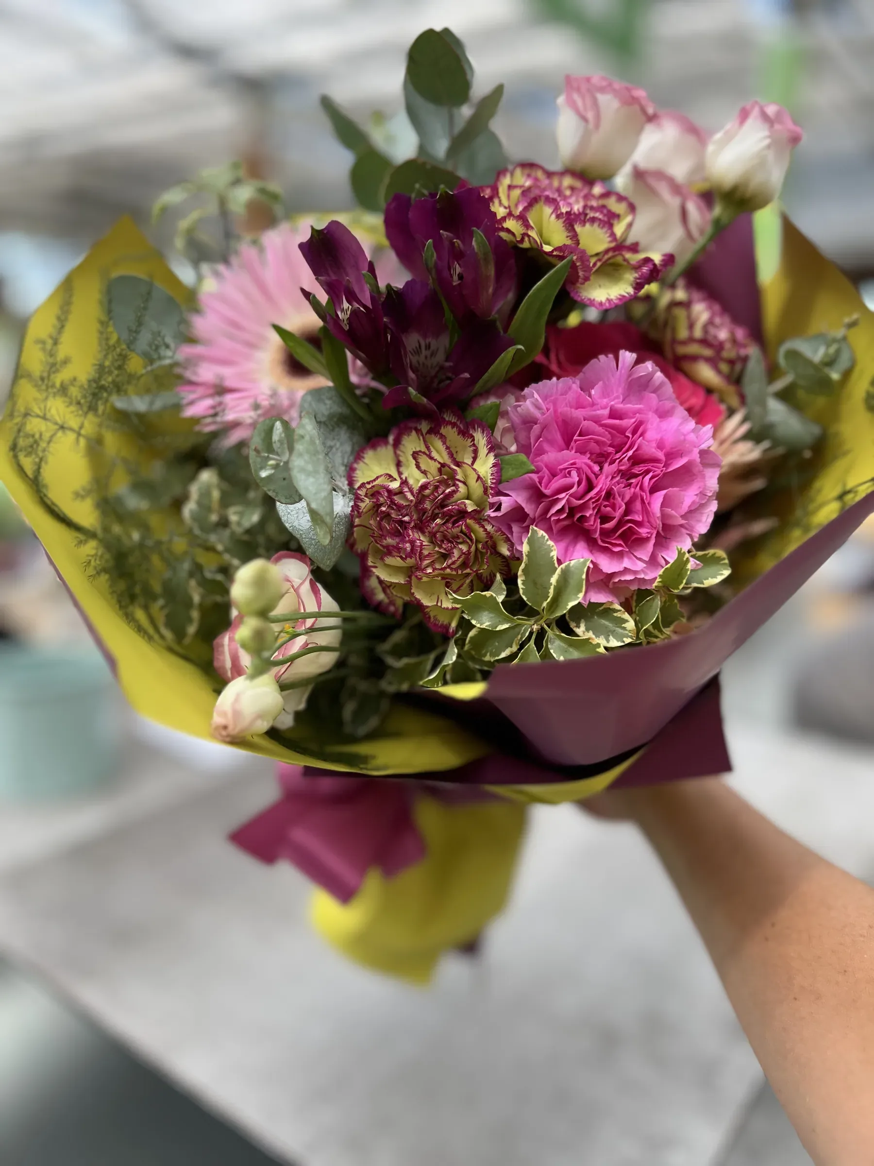 Mazzo di garofani rosa e garofani crema bordati di bordeaux, alstroemerie viola, una gerbera rosa e lisianthus bianchi bordati di rosa con l'eucalipto, incartato nella carta gialla e viola e tenuto in mano