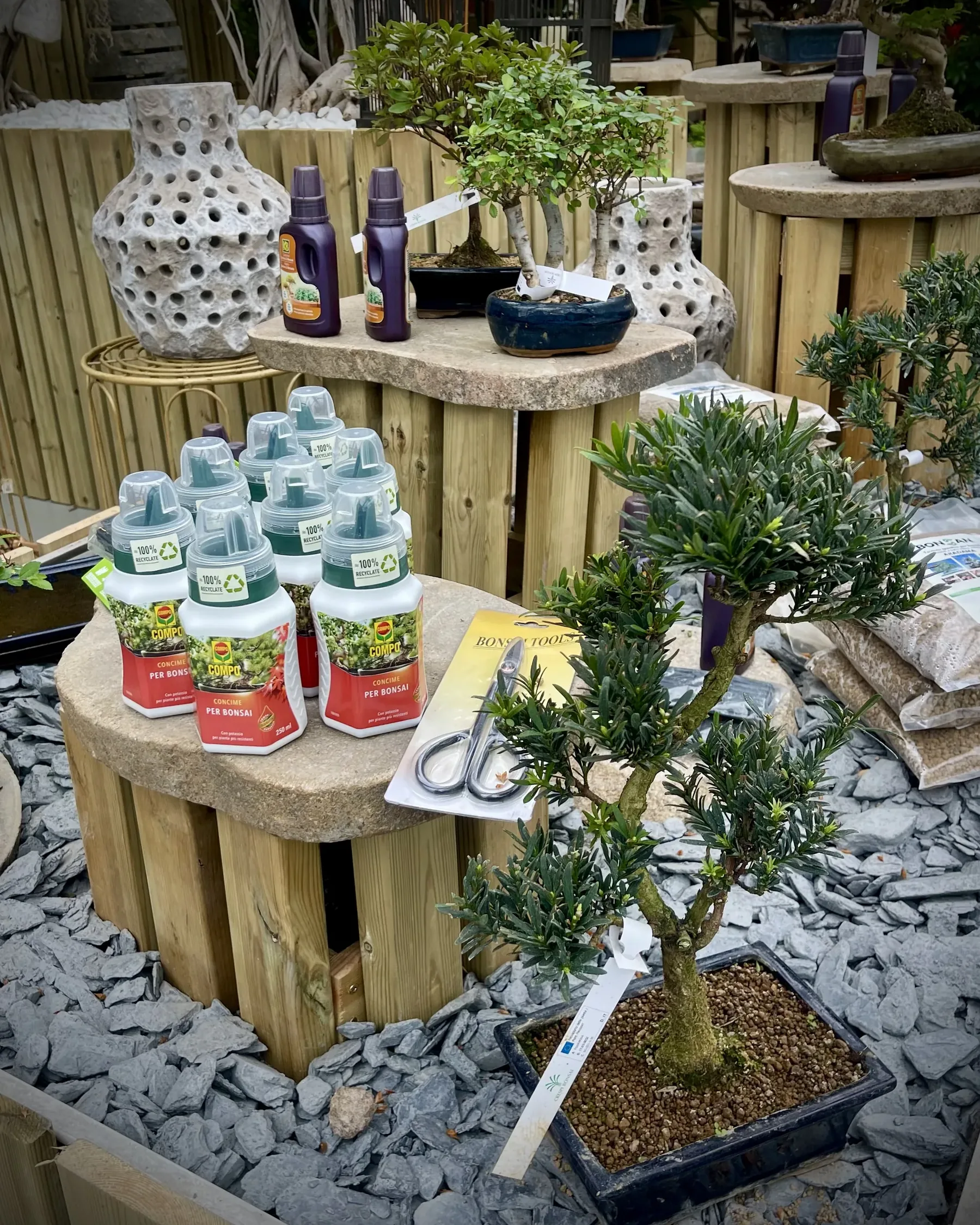 Il banco dei bonsai sulla ghiaia di ardesia, con i flaconi di concime e le forbici su piedistalli di doghe di legno coperti da lastre di pietra, e i vasi traforati dietro