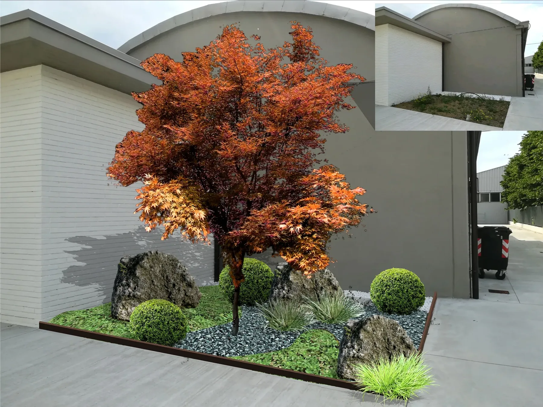 Render di progetto: aiuola bordata in corten con un acero dal fogliame arancio, massi, sfere di bosso e graminacee contro la parete di un capannone