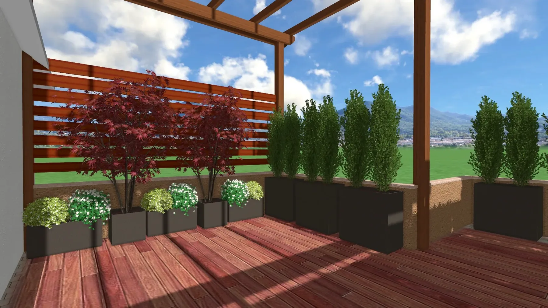 Render di progetto: terrazzo con pavimento in legno, pergola a travi, frangivista, aceri rossi e alberelli colonnari in fioriere scure