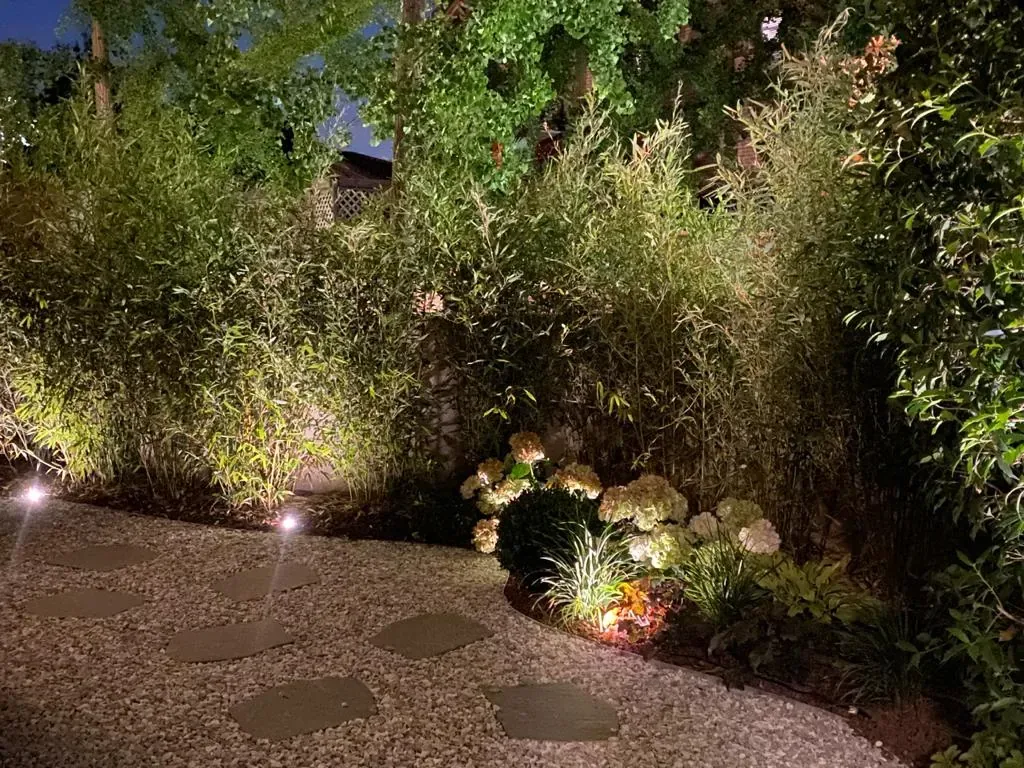 Sentiero di pietre su ghiaia di sera, lungo un'aiuola di bambù e ortensie illuminata da faretti bassi
