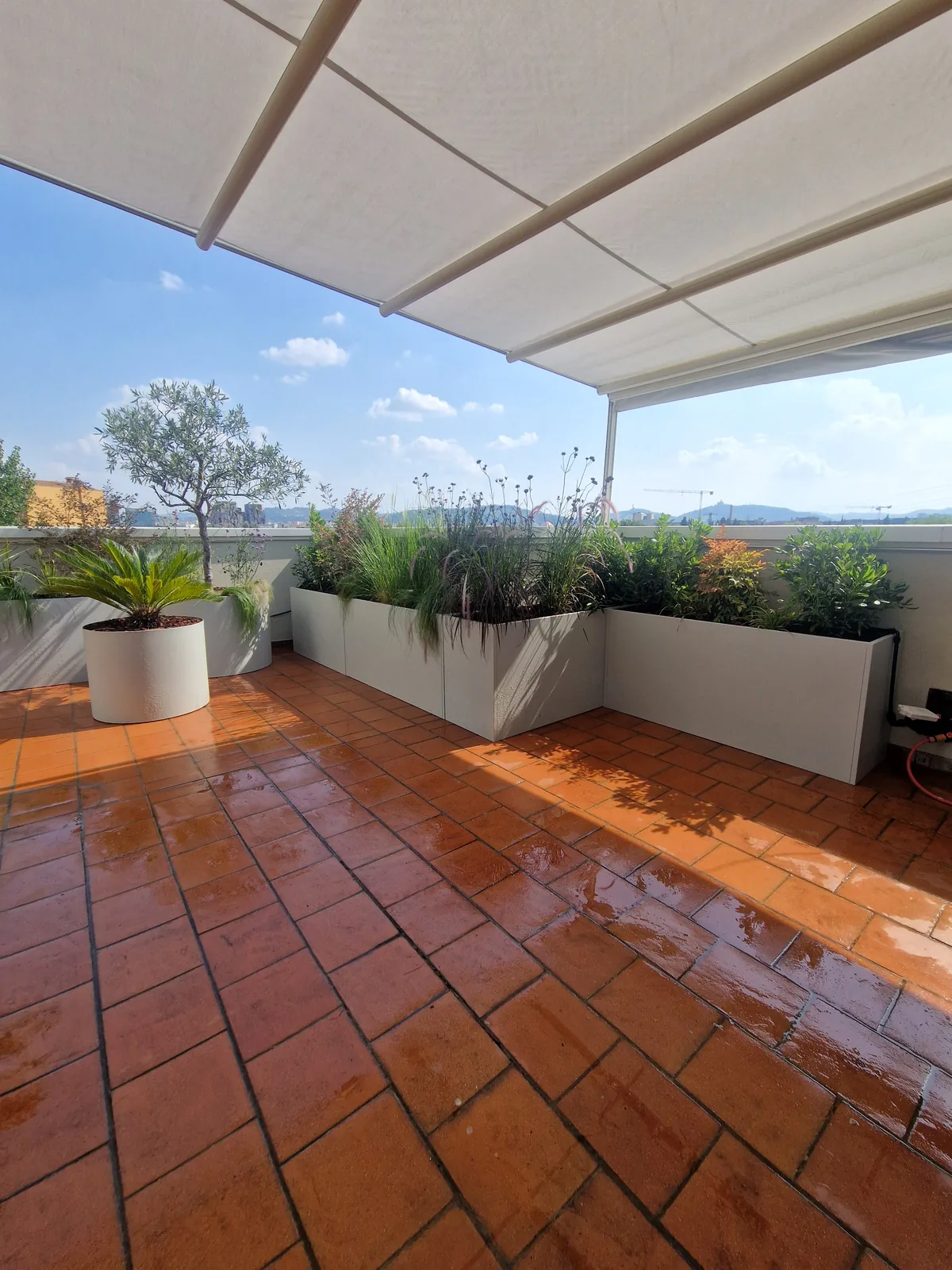Terrazza con pavimento in cotto bagnato, tenda da sole e fioriere chiare di graminacee e fiori lungo il parapetto