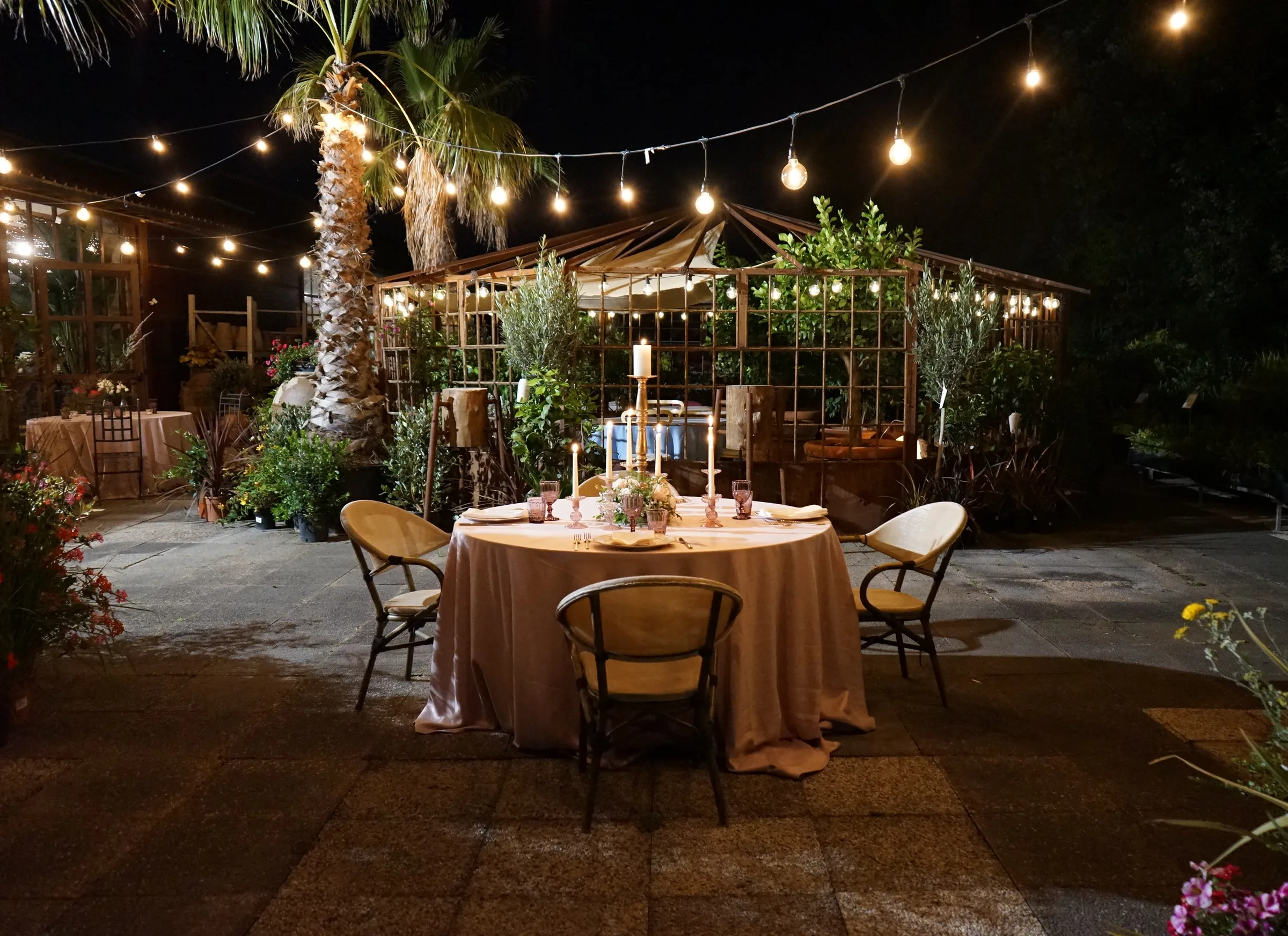 Il giardino di sera: le lucine appese fra le palme, la piccola serra illuminata e una tavola rotonda apparecchiata con le candele accese