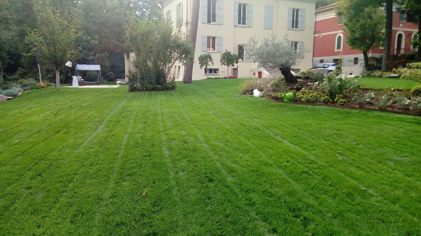 Prato con le strisce del taglio davanti a una villa color crema con le persiane grigie, con un grande olivo in un'aiuola fiorita