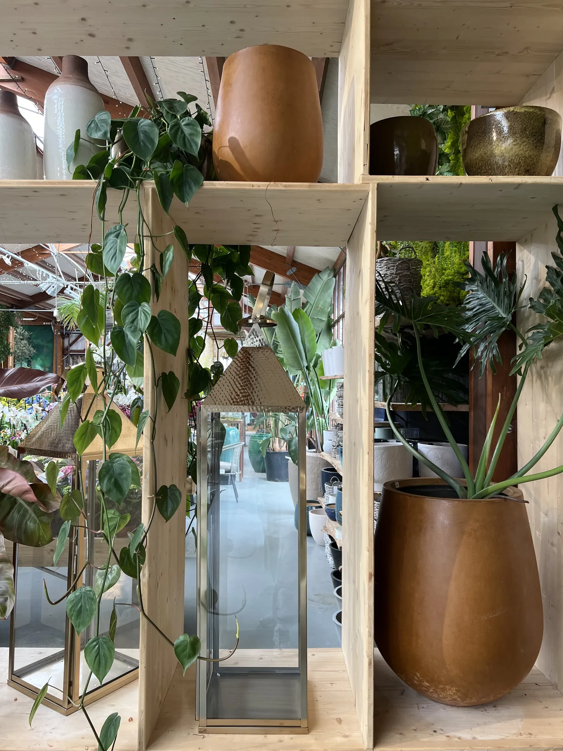 Libreria in legno chiaro con vasi color terracotta, due lanterne di vetro dal tetto dorato e un rampicante a foglie a cuore che scende dal ripiano alto