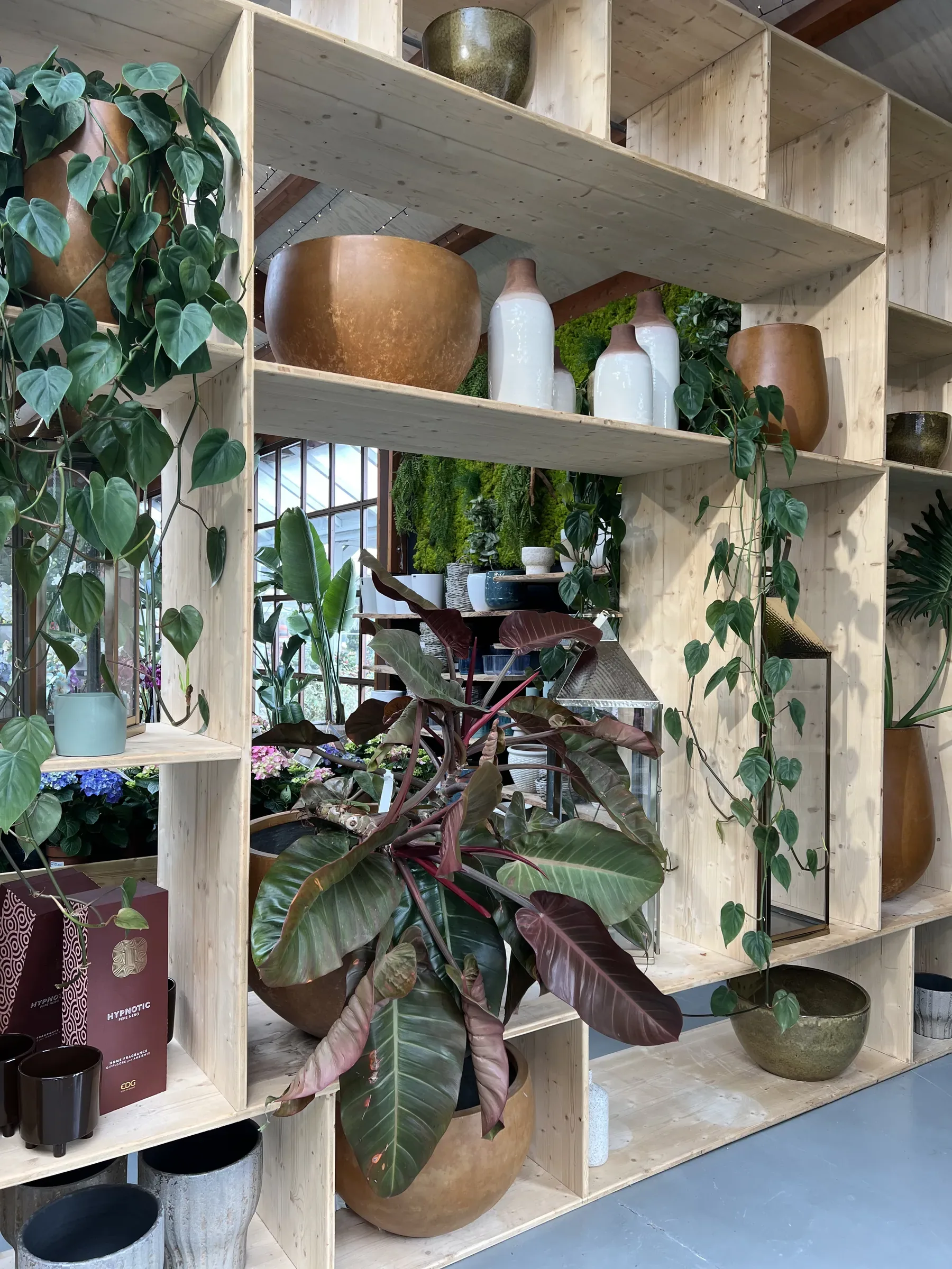 Libreria a caselle in legno chiaro con vasi color ruggine e bottiglie di ceramica bianca, un filodendro dalle foglie rossicce e i rami ricadenti di un filodendro a foglia di cuore