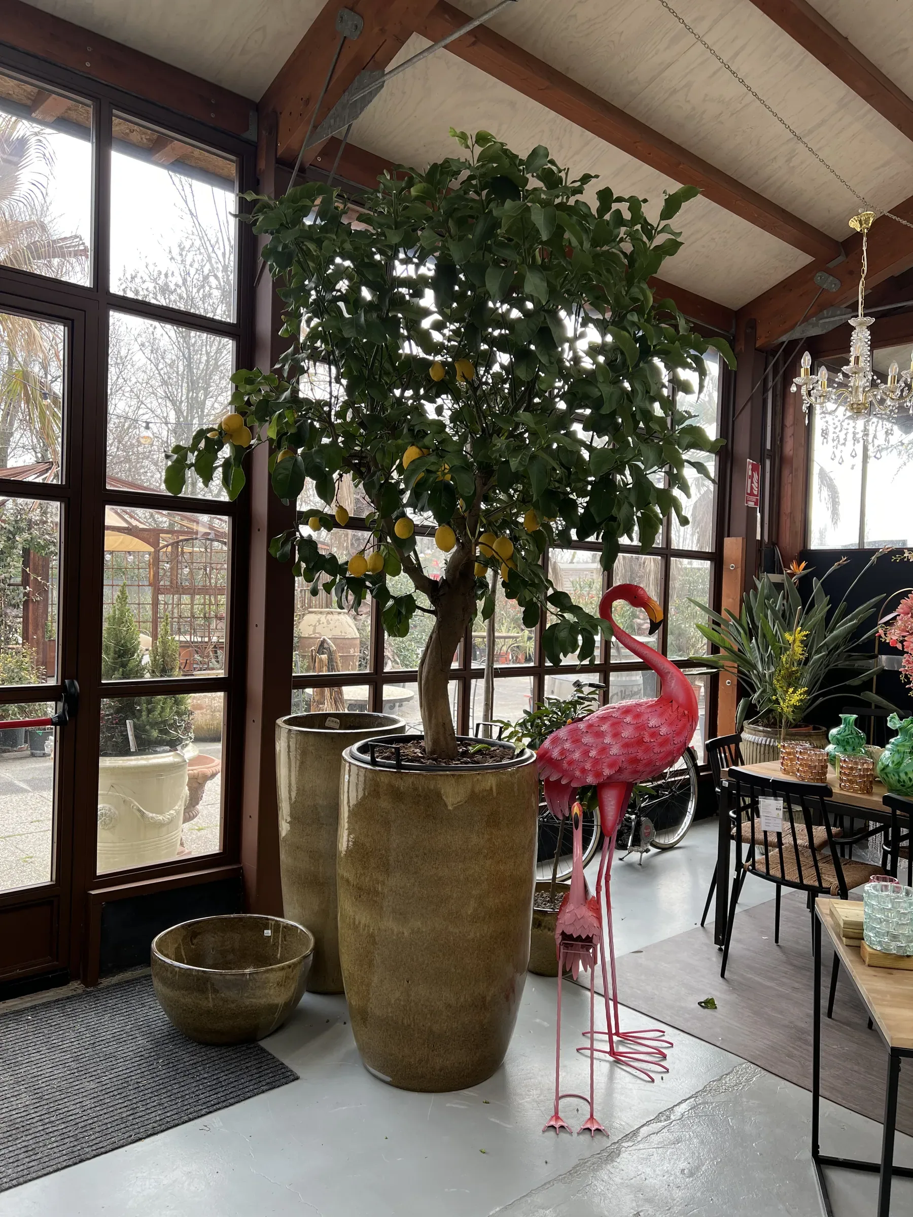 Veranda vetrata con un limone in un vaso alto smaltato, un altro vaso alto e una ciotola bassa accanto, due fenicotteri di metallo rosa e un lampadario di cristallo