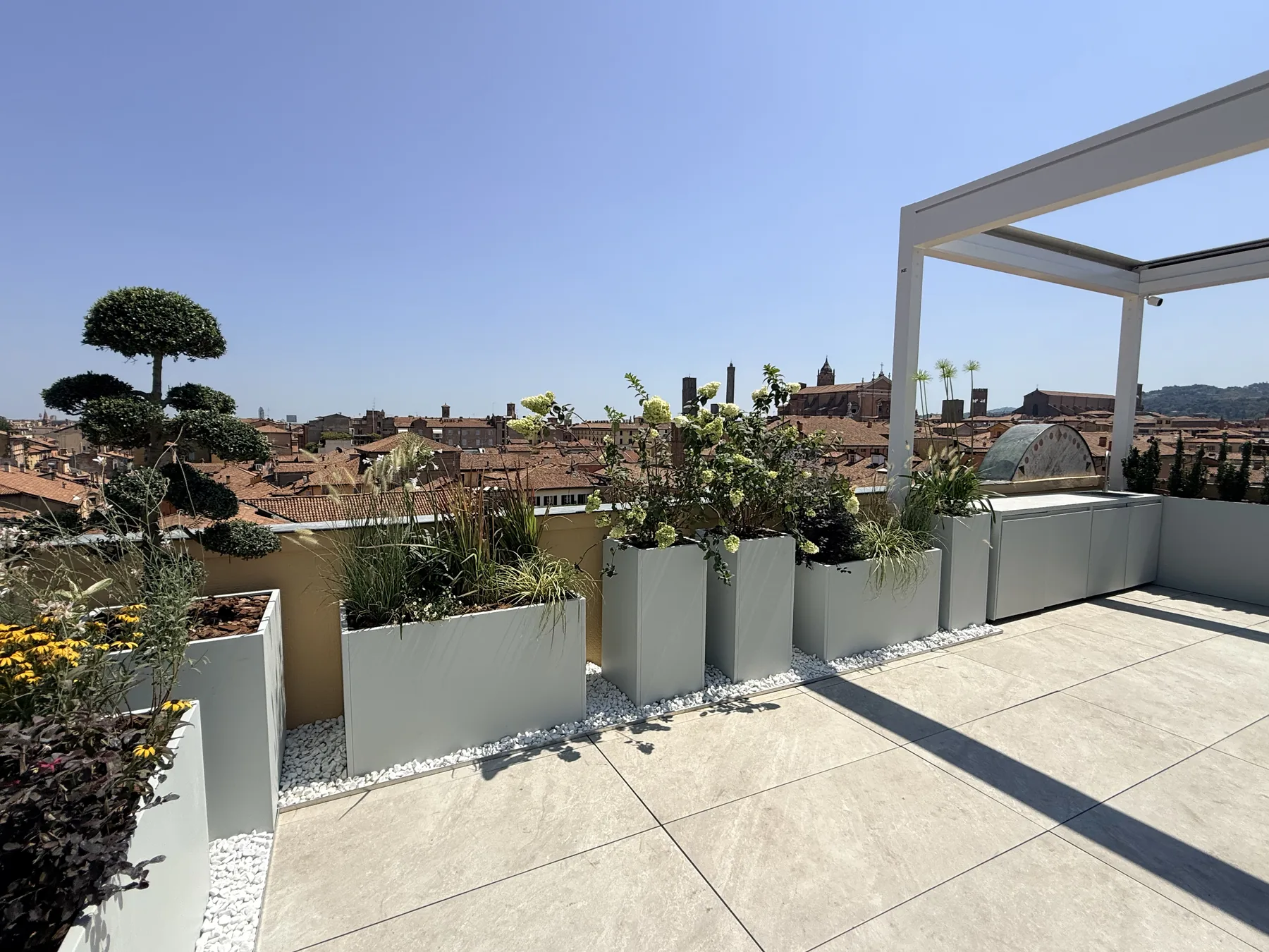 Olivo potato a nuvola e fioriture gialle in fioriere chiare lungo il parapetto, con i tetti rossi della città sul fondo