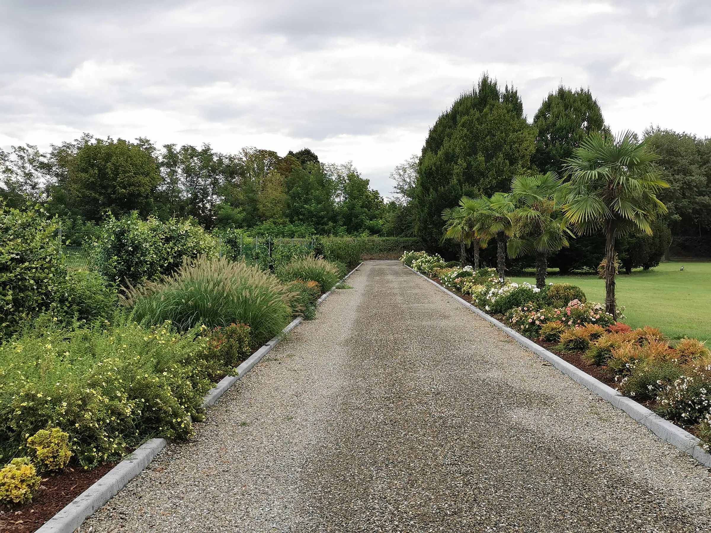 Viale lungo in ghiaia chiara bordato da cordoli, fra bordure di arbusti fioriti e graminacee, con le palme sul lato destro