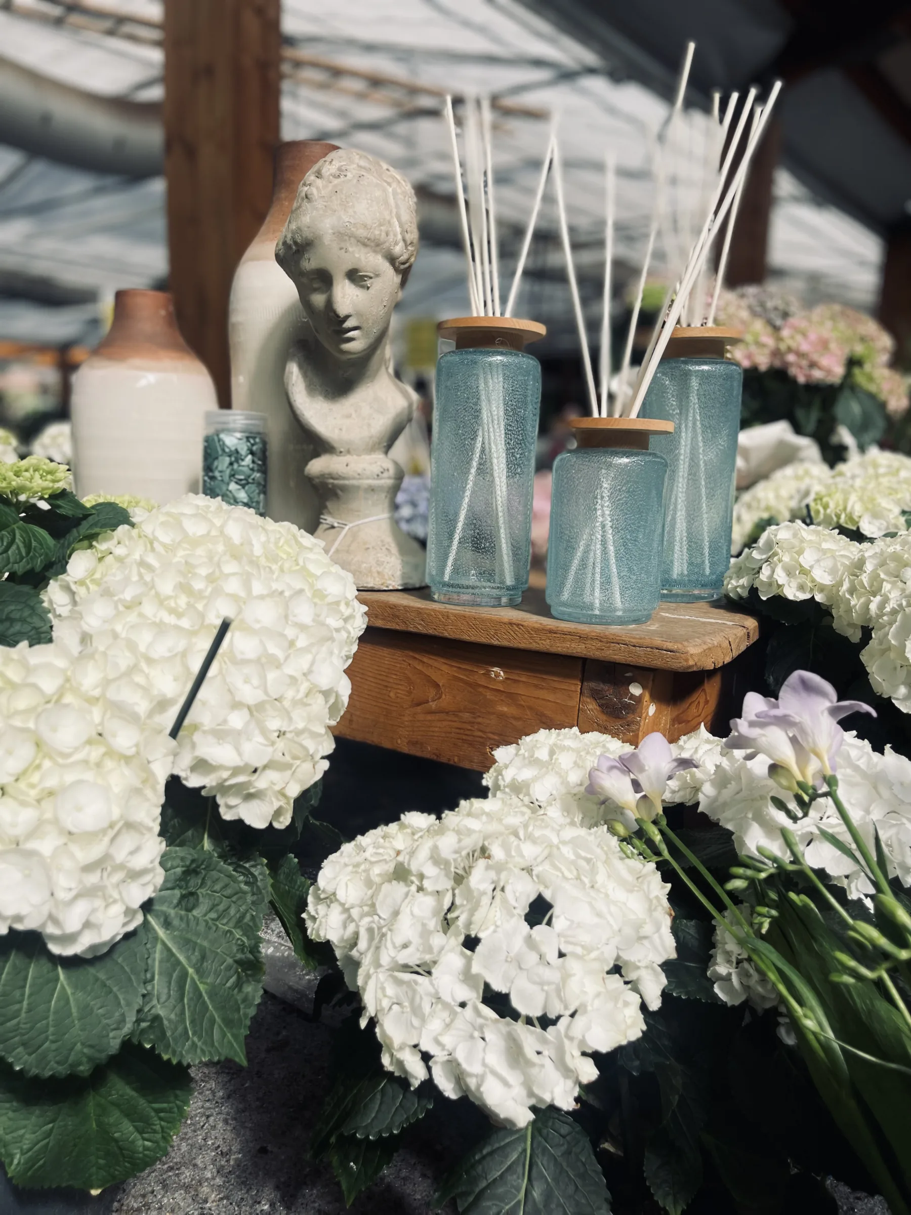 Diffusori a bastoncini in flaconi di vetro azzurro su un piano di legno, con un busto color pietra, fra ortensie bianche