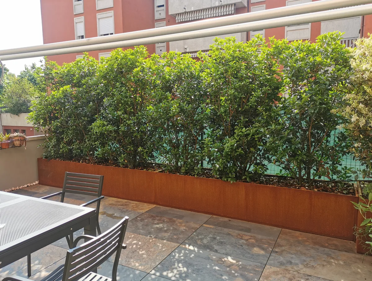 Dopo: fioriera in corten con una siepe sempreverde lungo il parapetto, tavolo e sedie sul pavimento nuovo