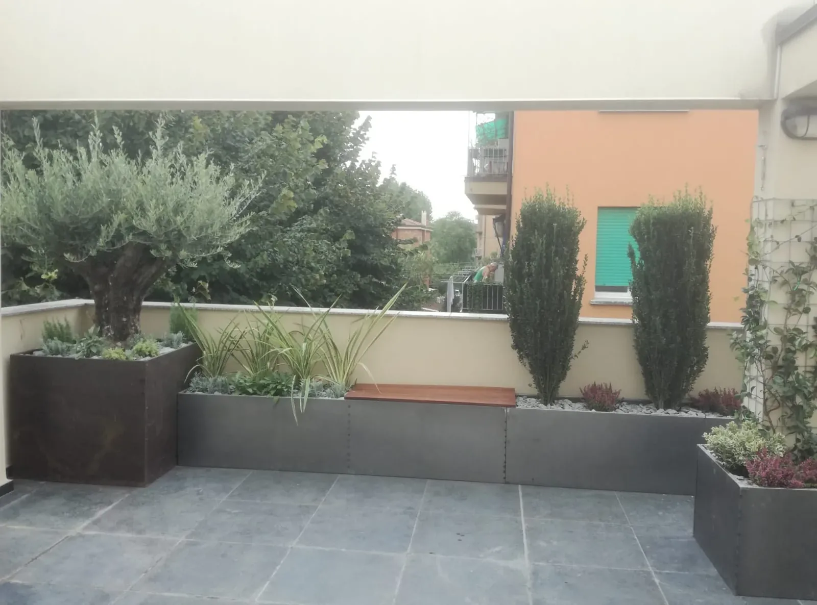 Terrazzo con fioriere scure lungo il parapetto: un ulivo, due arbusti colonnari, piante a foglie lunghe e sottili e una seduta in legno