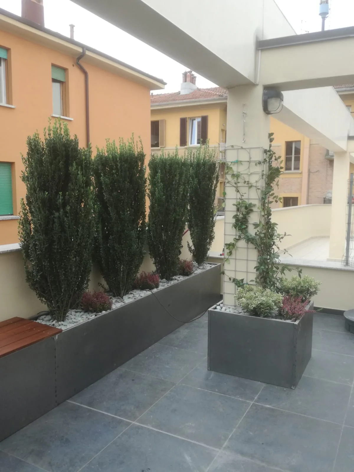 Fioriera lunga con arbusti colonnari a foglia piccola e una seduta in legno lungo il muro, e una fioriera quadrata con un rampicante sul grigliato