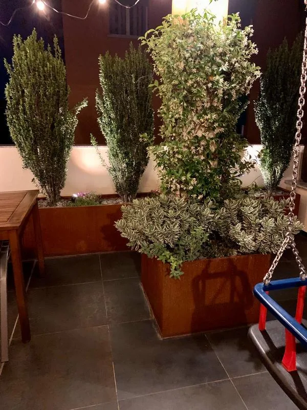 Fioriere in corten con un rampicante a fiorellini bianchi attorno a un pilastro e arbusti colonnari a foglia piccola, illuminati di sera