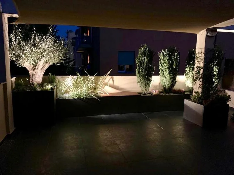 Il terrazzo al crepuscolo, con l'ulivo, le piante dalle foglie a nastro e gli arbusti colonnari illuminati nelle fioriere scure