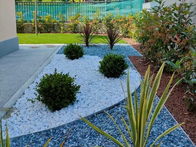 Aiuola con ghiaia bianca e azzurra, sfere di bosso e ciuffi di foglie rosso scuro, con il prato sintetico e la siepe di photinia sul fondo