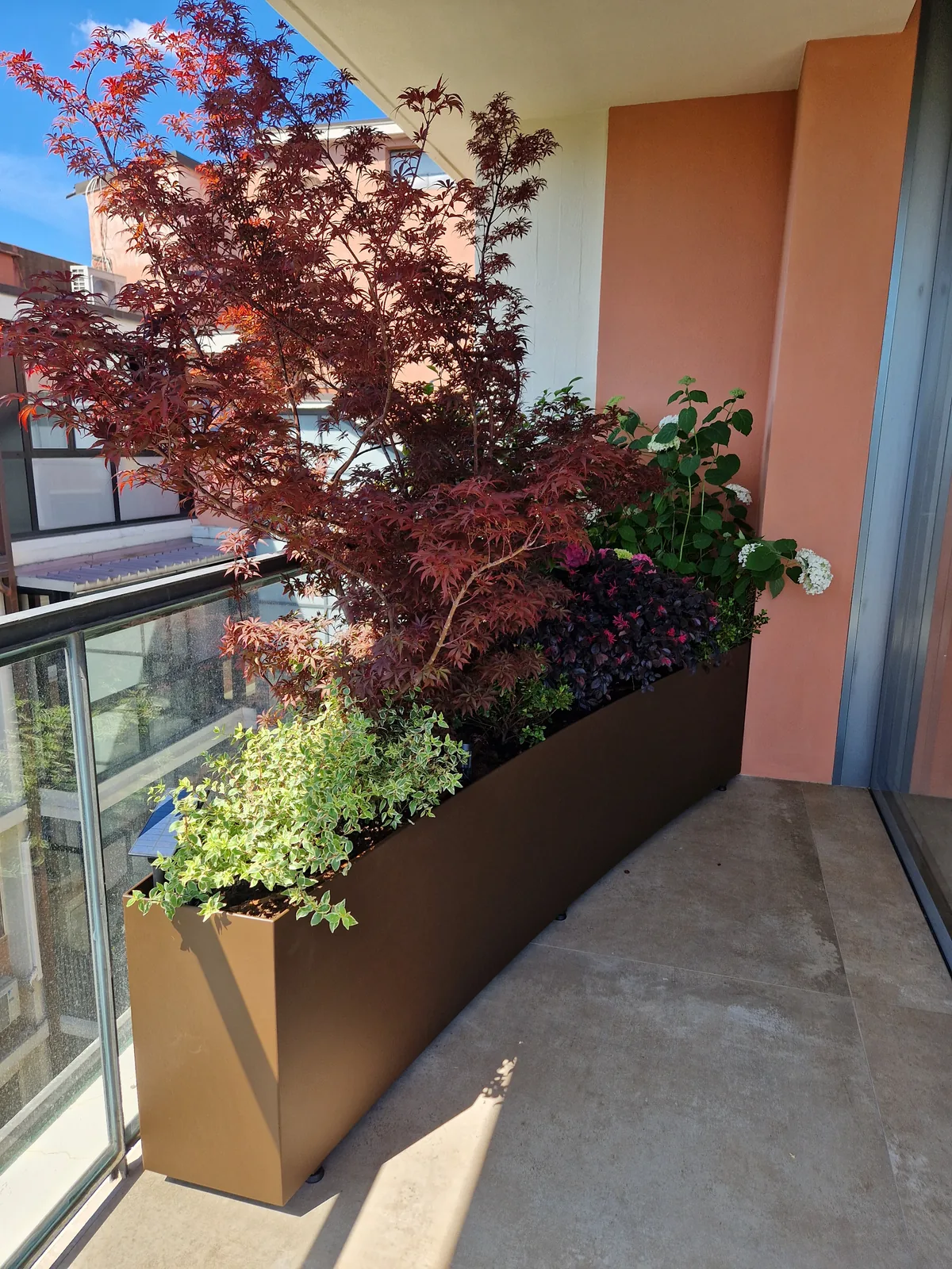 Fioriera lunga color bronzo con un acero rosso, un'ortensia bianca e piante ricadenti sul balcone di un palazzo