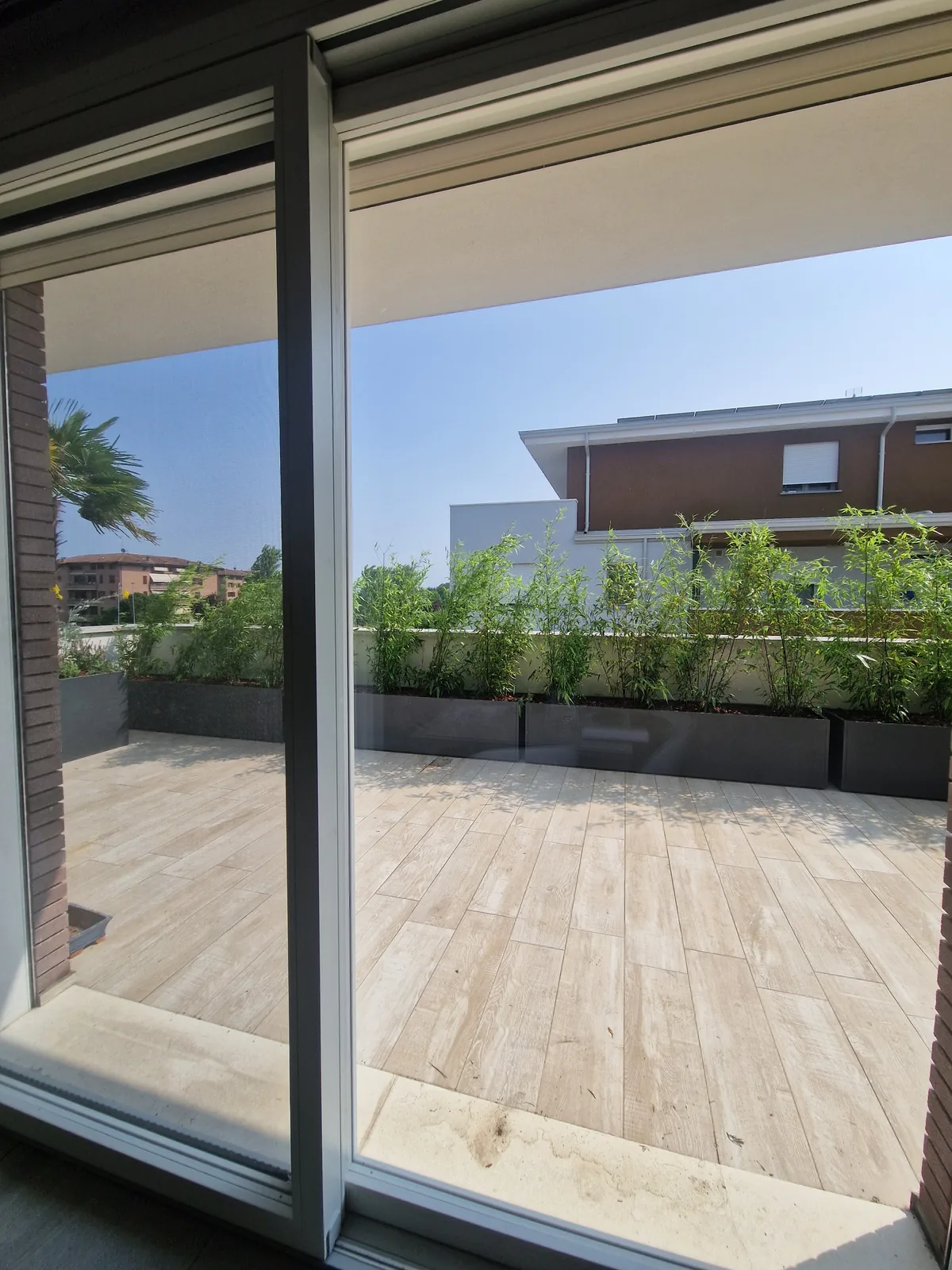 Terrazzo con pavimento effetto legno e fioriere grigie piantate a bambù lungo il parapetto, visto dalla porta finestra