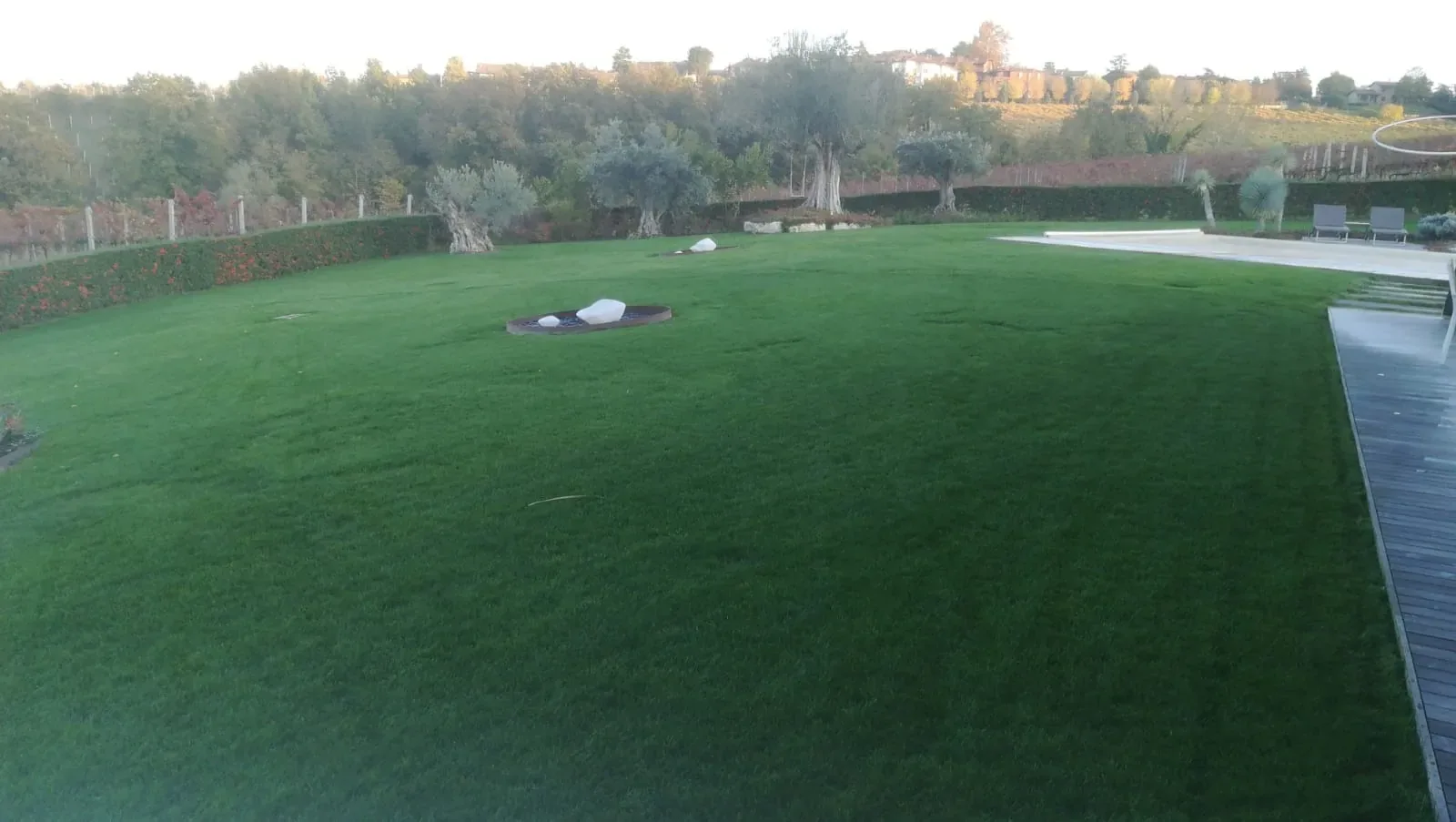 Prato ampio nella luce della sera, con una pedana in legno a bordo piscina e olivi in fondo al giardino, sotto la collina