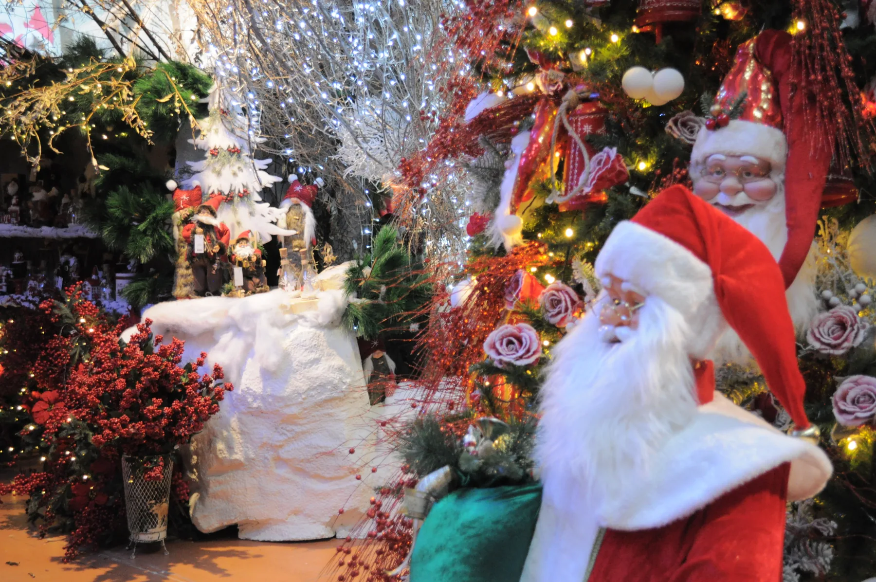 Due pupazzi di Babbo Natale con il cappello rosso davanti a un abete addobbato di rose e luci, fra rami di bacche rosse e neve finta