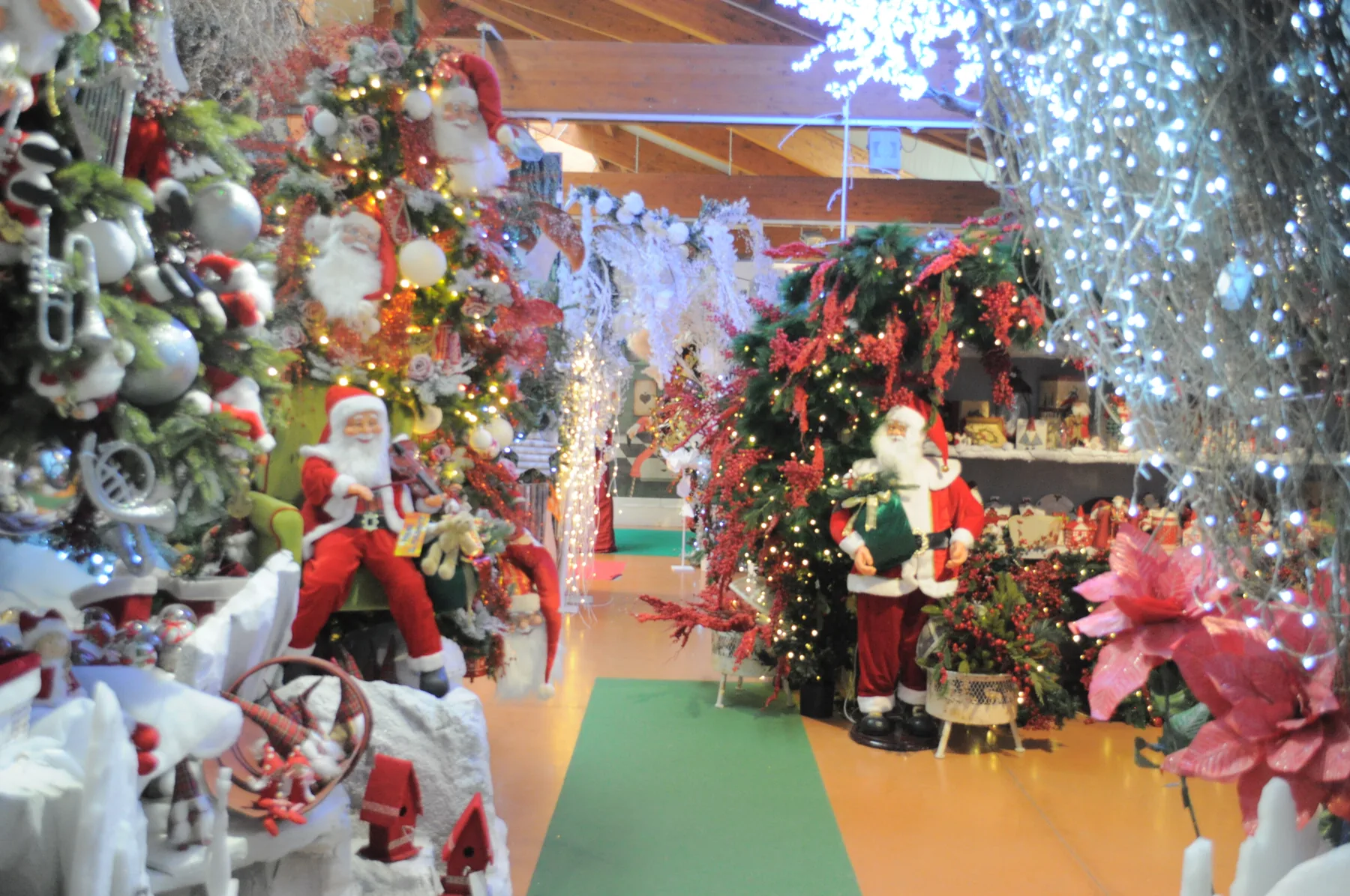 Reparto con alberi addobbati, pupazzi di Babbo Natale e stelle di Natale rosa ai lati di un corridoio con il tappeto verde