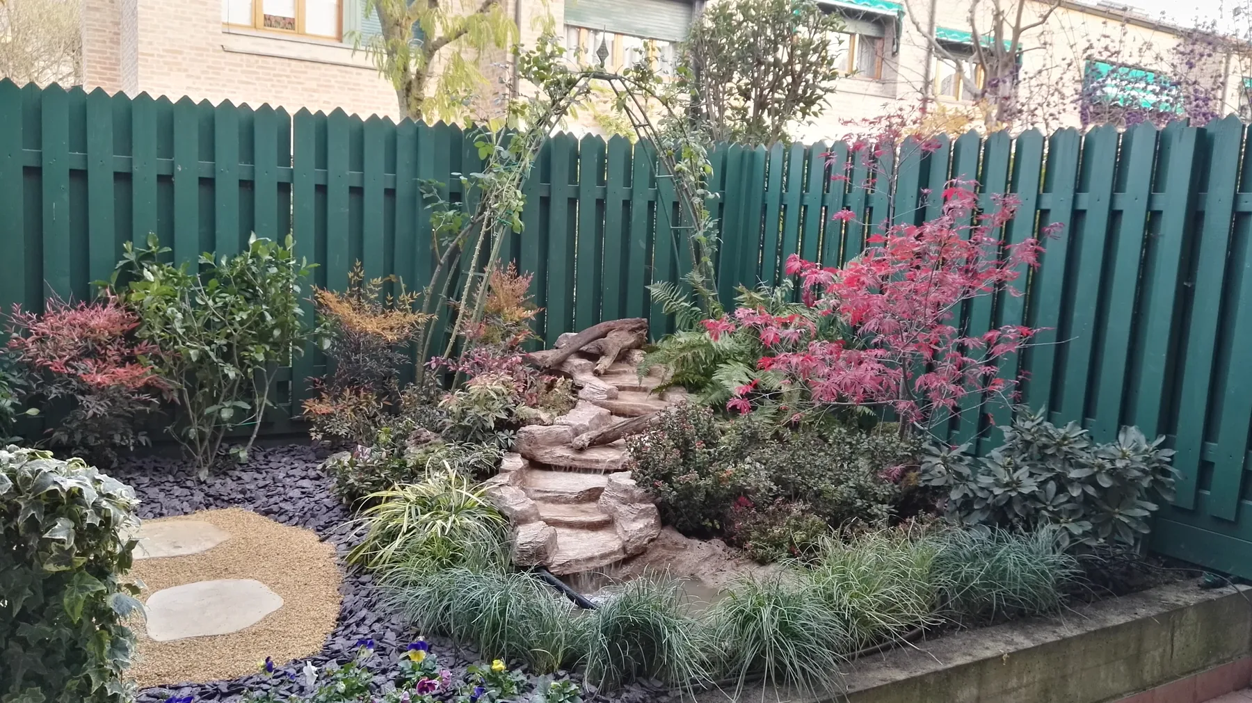 Angolo di giardino contro una staccionata verde, con una cascatella in pietra, un acero rosso, graminacee e passi in pietra sulla ghiaia