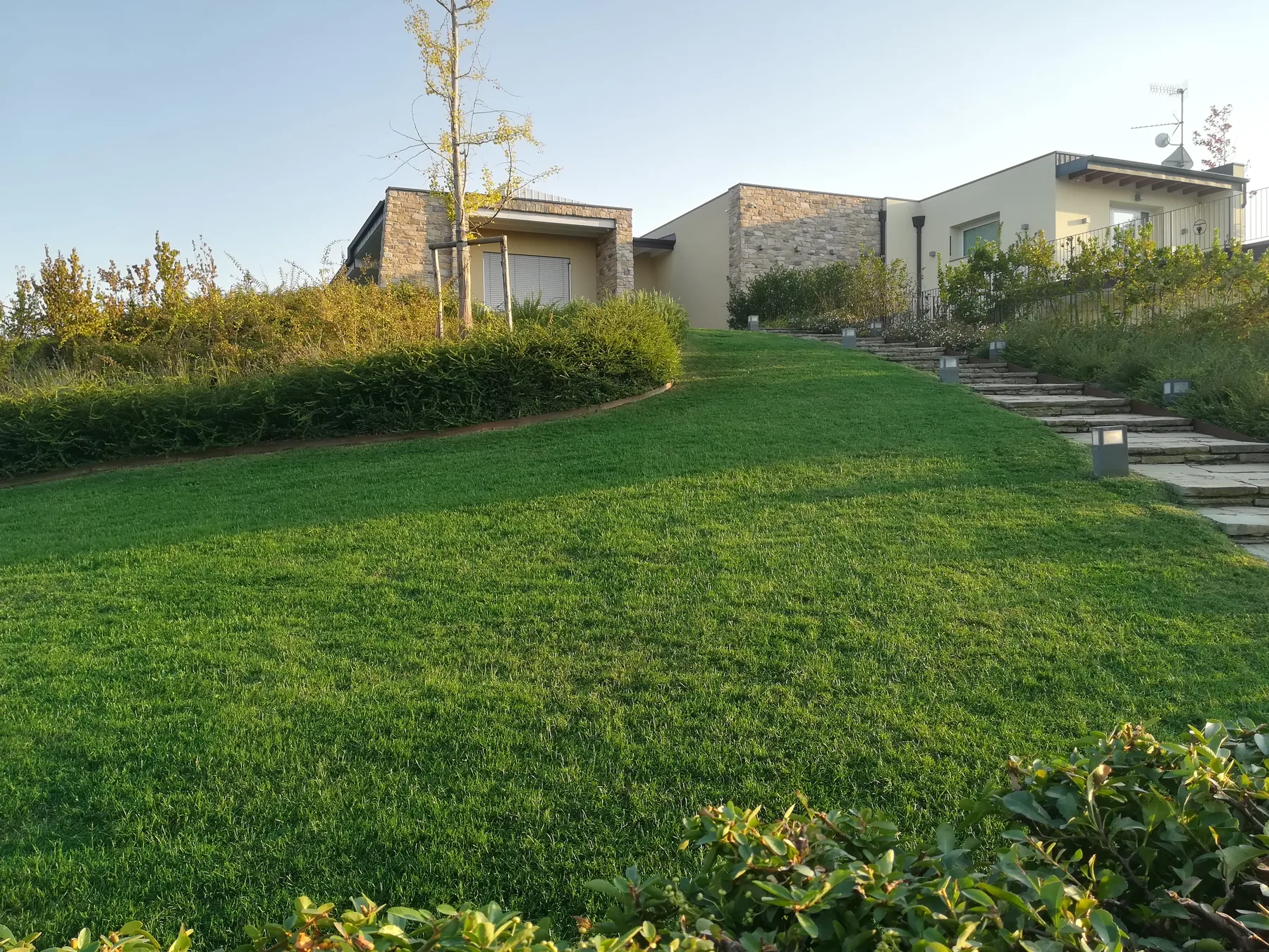 Prato in pendenza davanti a una casa moderna, con una siepe bassa curva, una scala in pietra e bordure di graminacee
