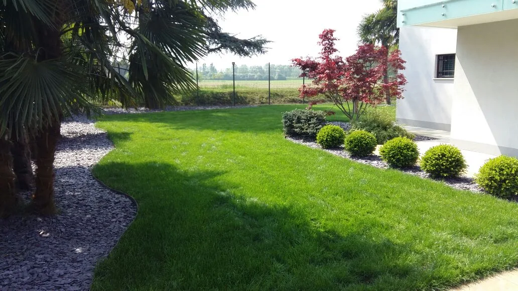 Prato che curva fra una bordura di scaglie d'ardesia con le palme e un'aiuola di bossi, accanto a una casa bianca