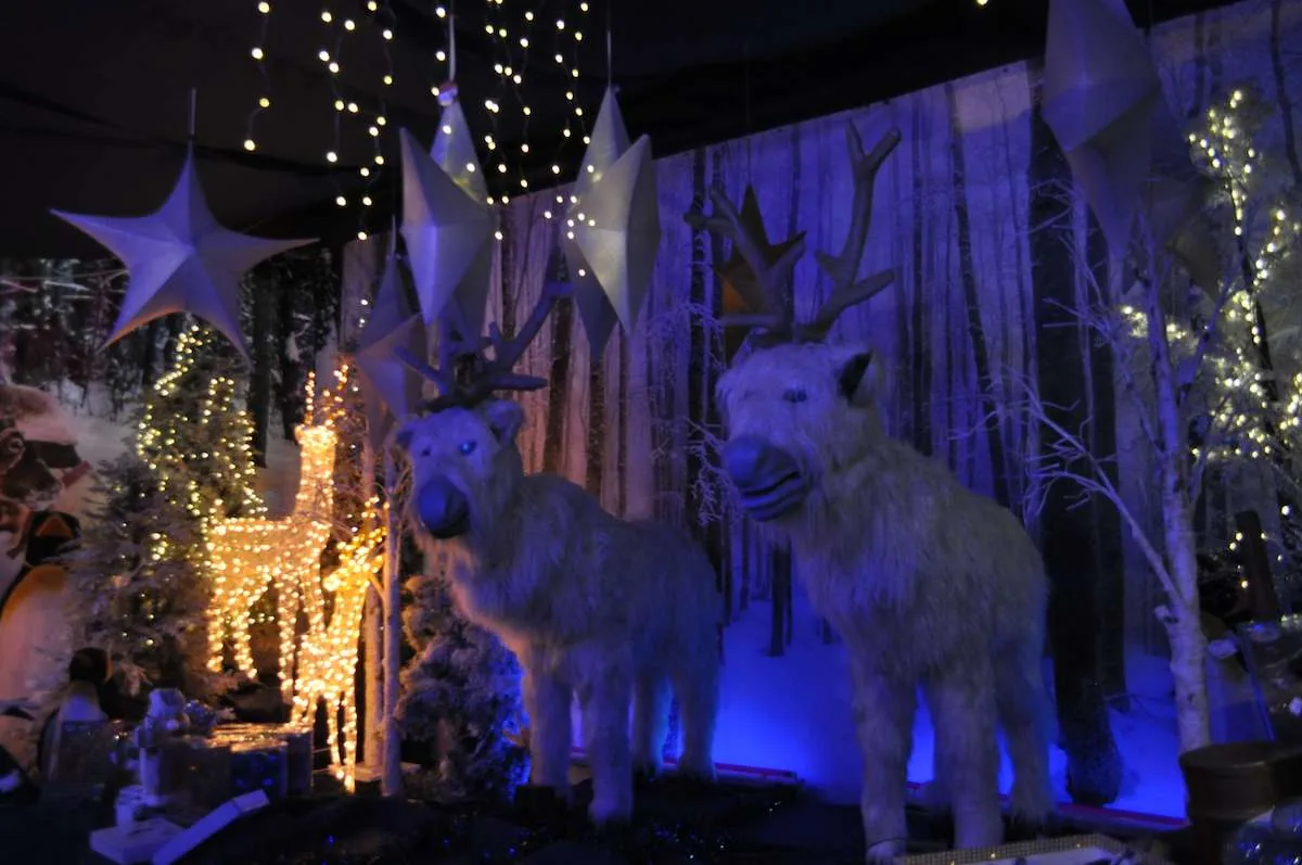 Due grandi renne bianche in un bosco di betulle illuminato di blu, con stelle appese e una renna di luci dorate