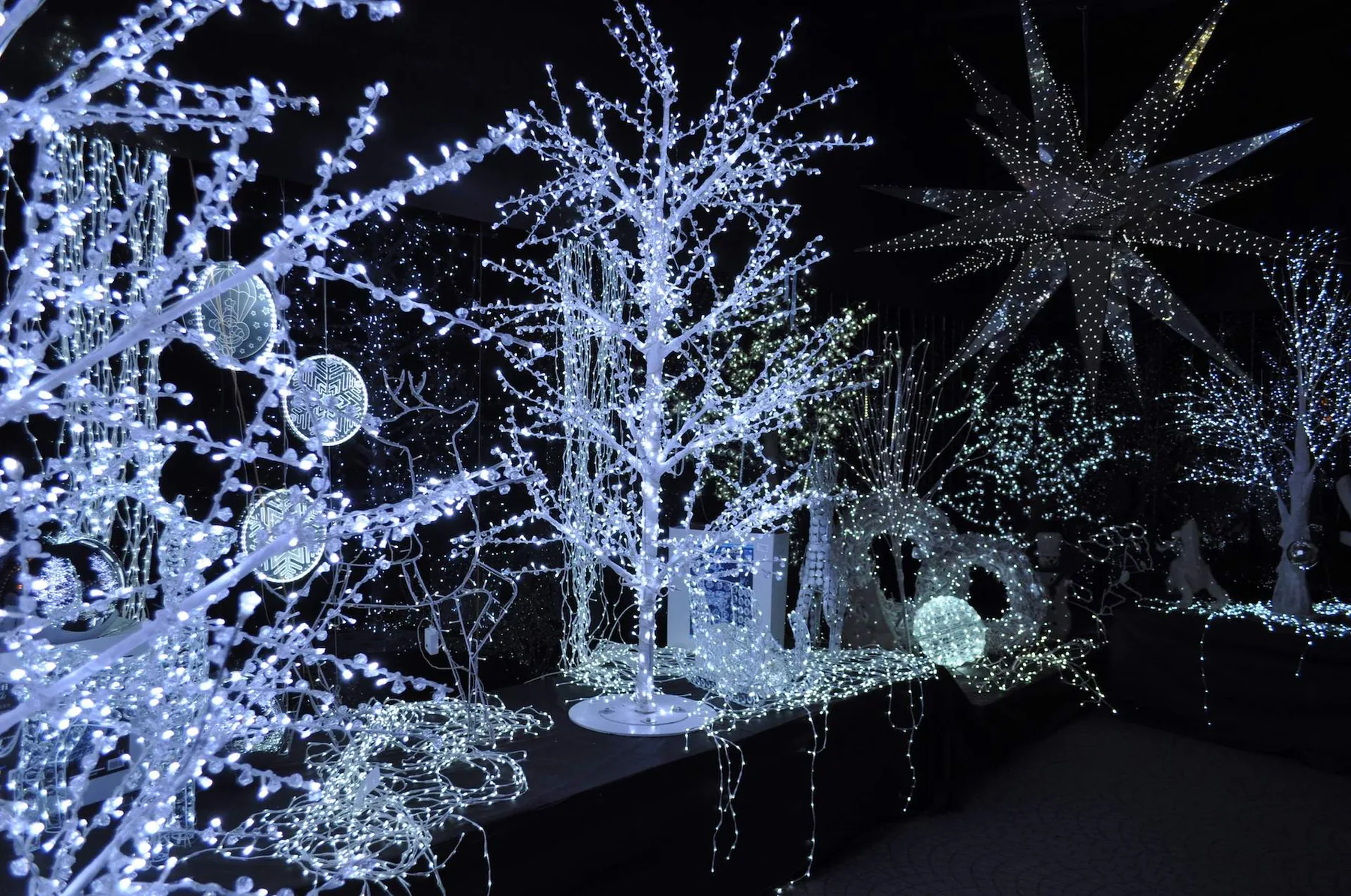 Alberi di luci bianche e una sfera luminosa davanti a una grande stella appesa, nel buio