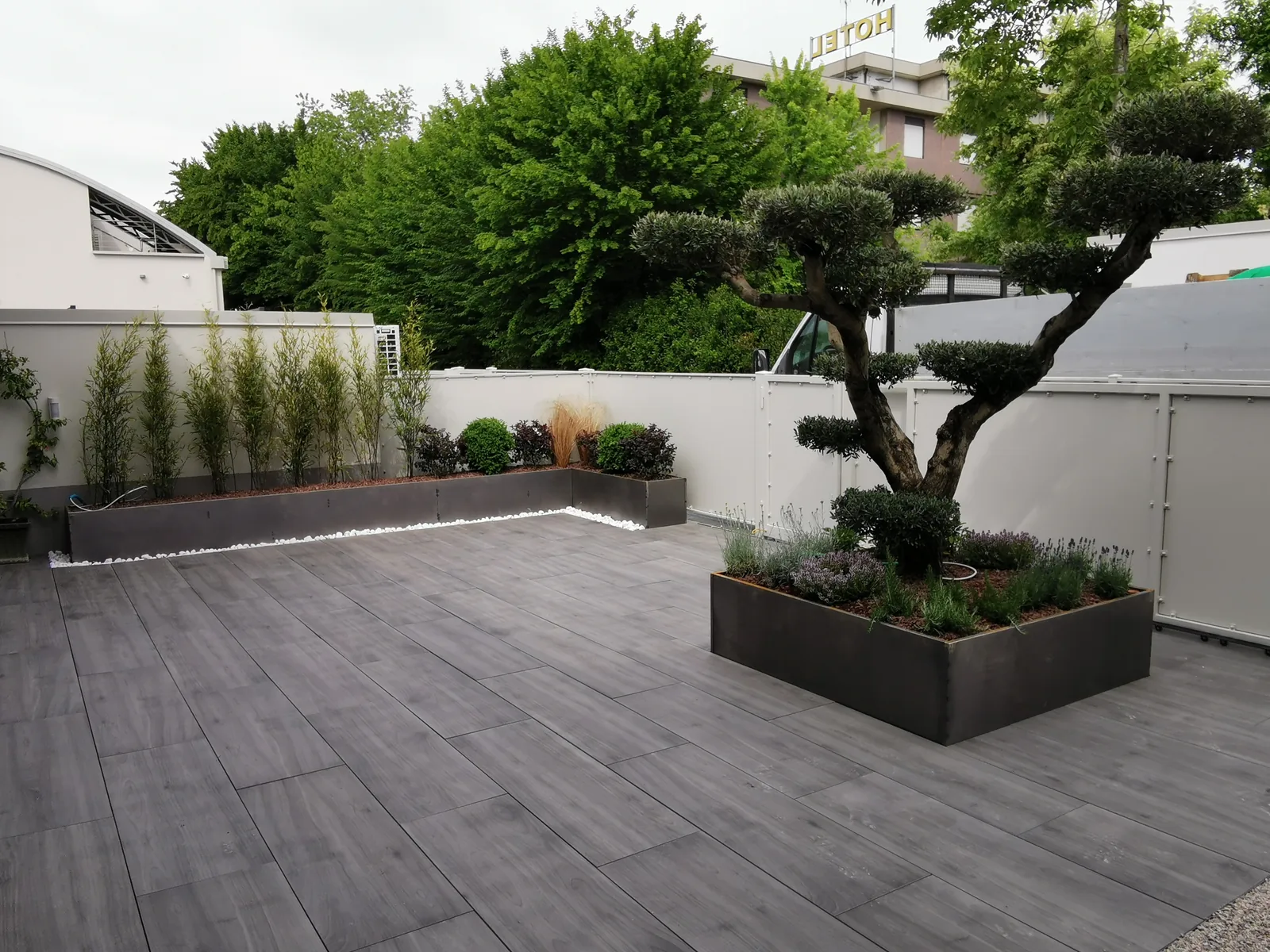 Terrazzo con pavimento effetto legno grigio, una fioriera scura con un albero potato a nuvole e fioriere lungo il muro