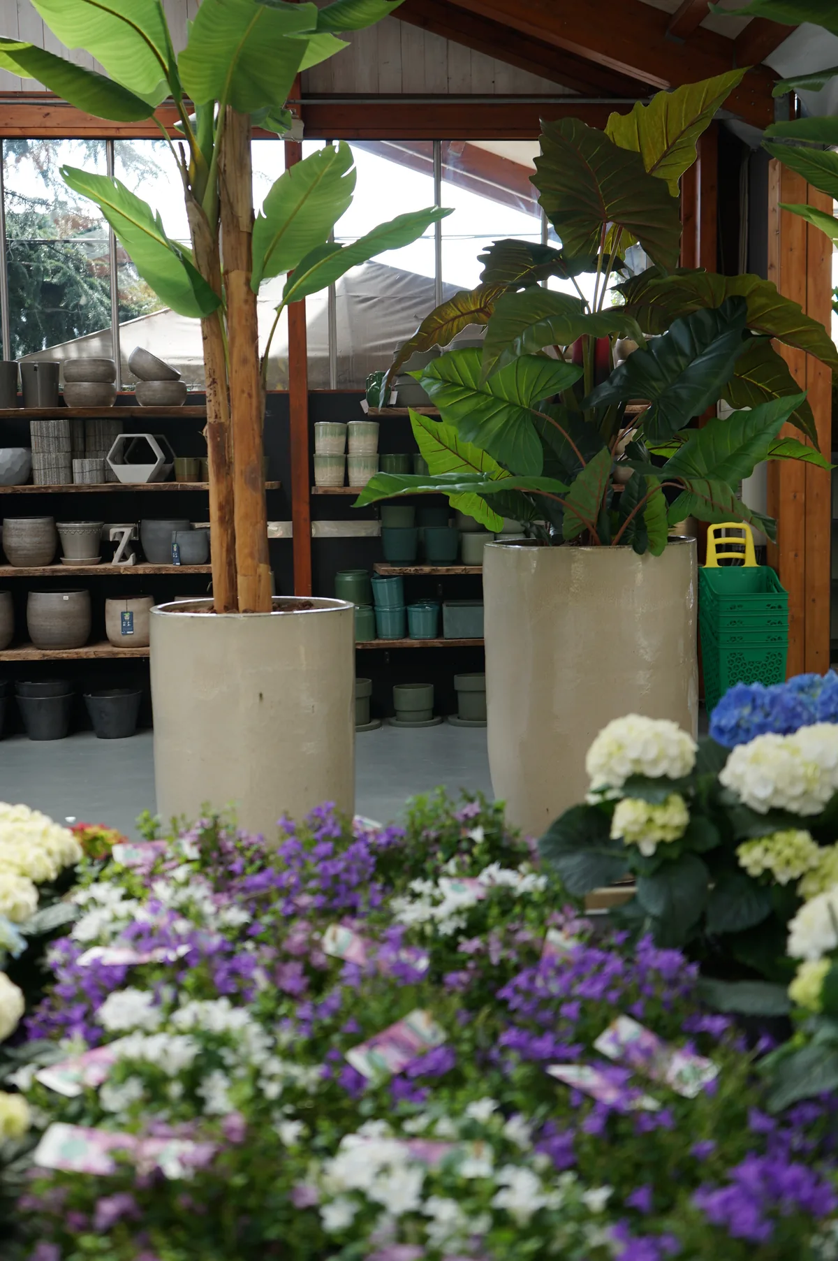 Piante verdi alte in grandi portavasi color crema, con davanti fioriture viola e bianche e ortensie bianche e azzurre