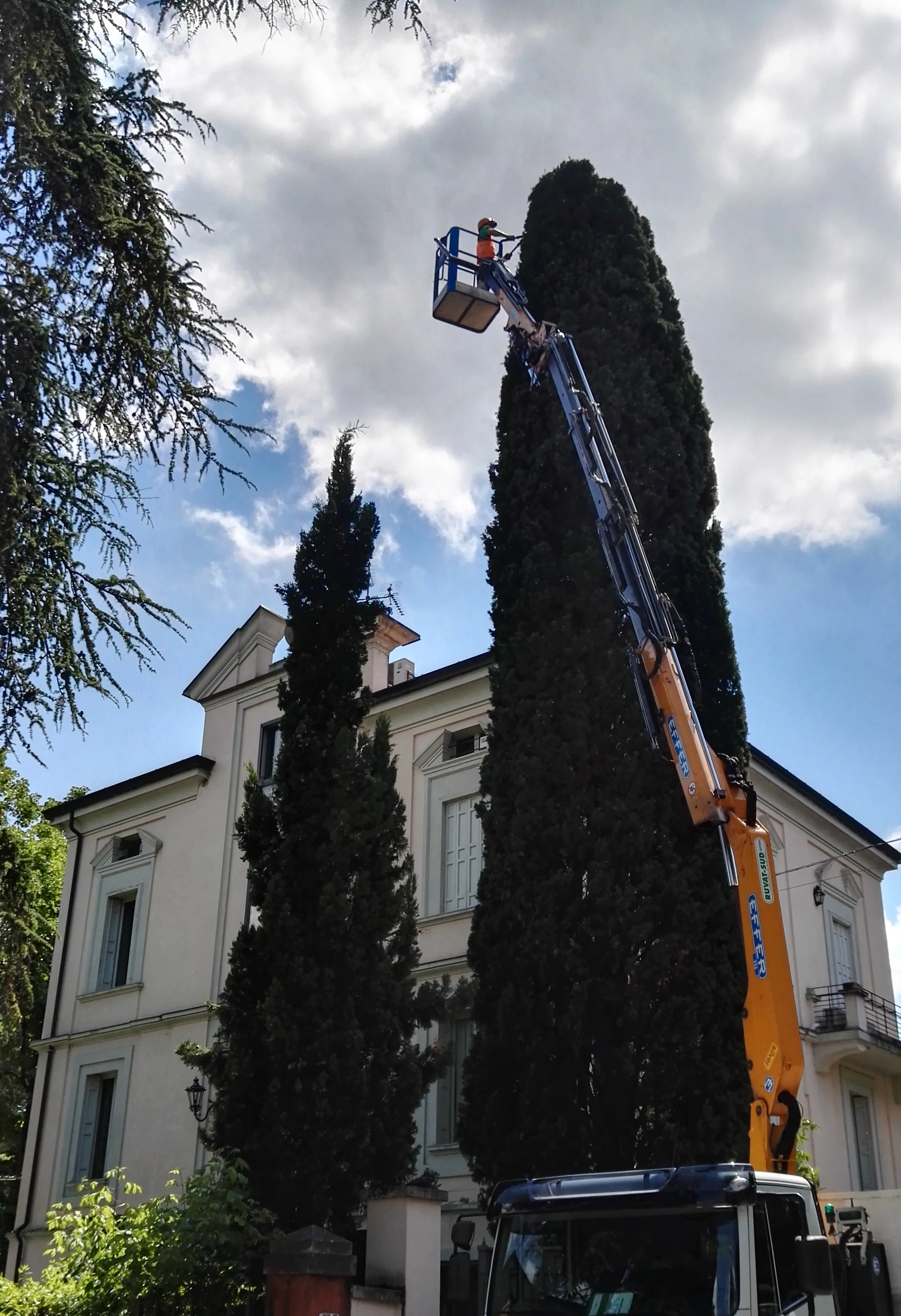 Cestello elevatore alzato fino alla cima di un cipresso davanti a una villa chiara, con il braccio del mezzo che sale dal basso