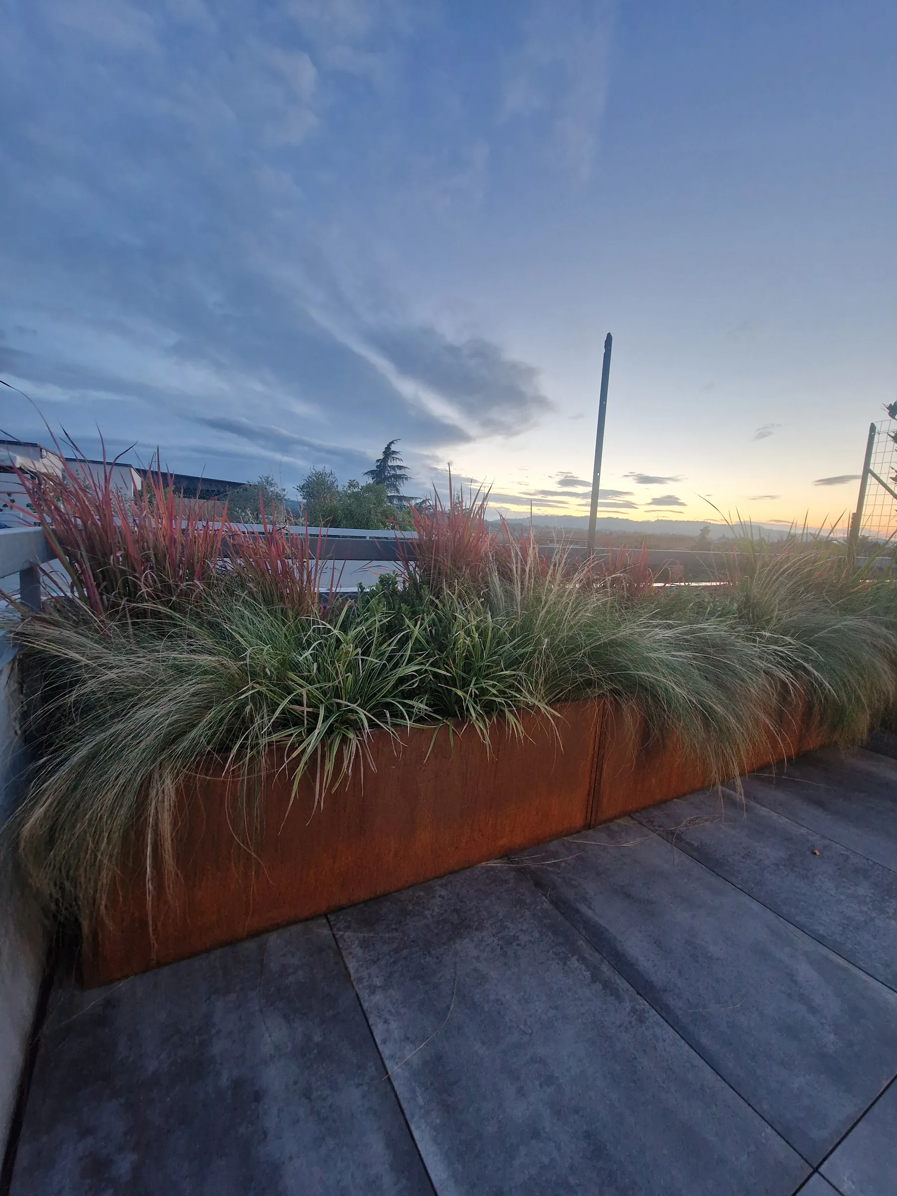 Fioriera lunga in acciaio corten piena di graminacee rosse e verdi su un terrazzo pavimentato in lastre scure, al tramonto