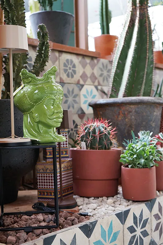 Vasi di terracotta con cactus e piante grasse e una testa di moro verde con i baffi, su un banco rivestito di cementine decorate