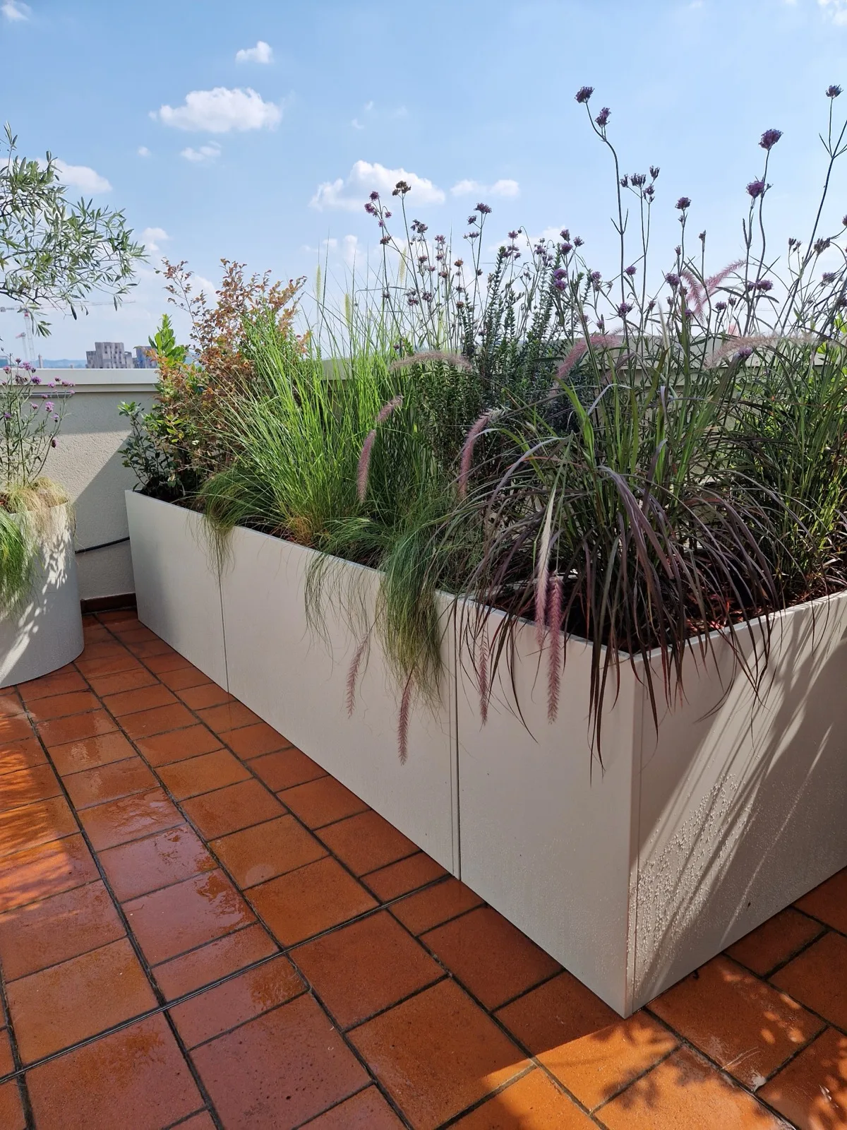 Fioriera bianca su un pavimento di piastrelle color cotto, piena di graminacee e fiori a stelo lungo che superano il parapetto