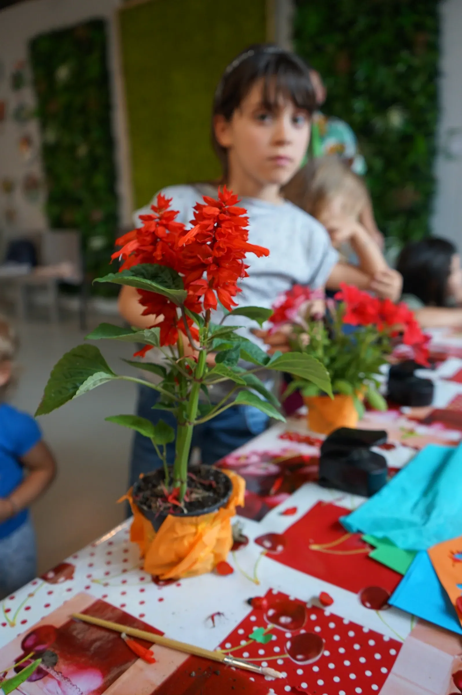 Una salvia rossa in un vasetto avvolto nella carta arancione, sul tavolo del laboratorio, con una bambina sfocata dietro