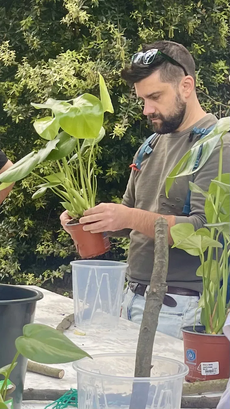 Un ragazzo tiene in mano una monstera nel suo vasetto di plastica, davanti a un vaso trasparente con dentro il ramo per tutore