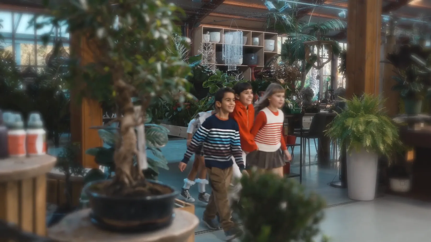 Quattro bambini camminano sorridenti fra le piante della serra, dietro un bonsai in primo piano