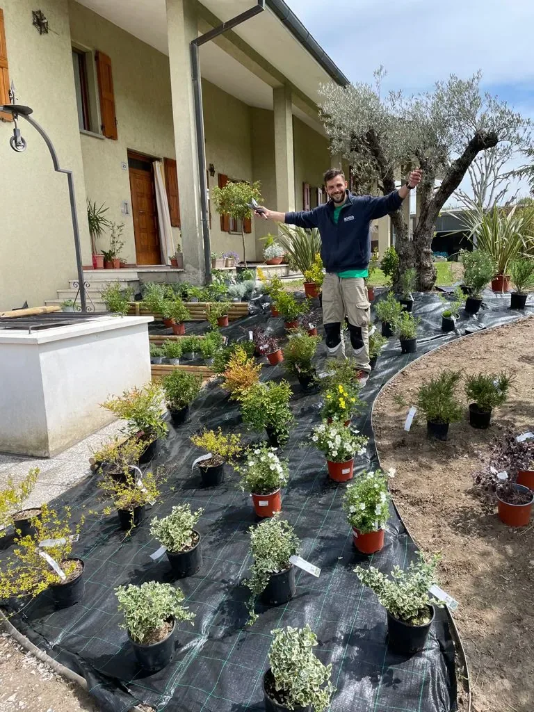 Giardiniere sorridente a braccia aperte fra le piante in vaso disposte sul telo di una nuova aiuola curva, davanti a una casa con un olivo